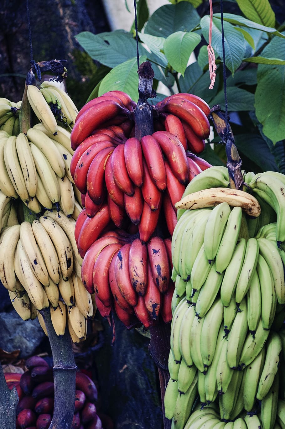 agri